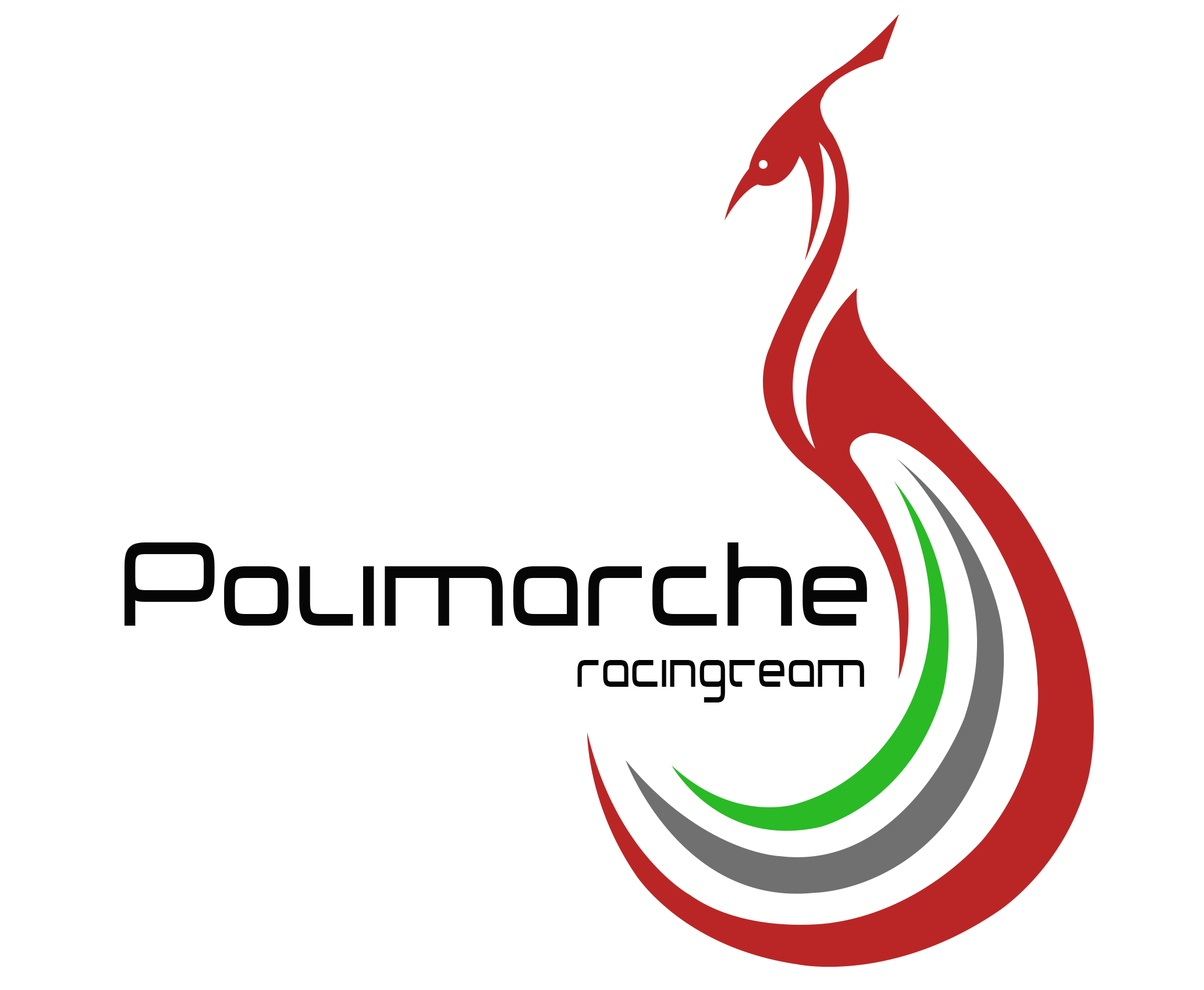 Polimarche Racing Team