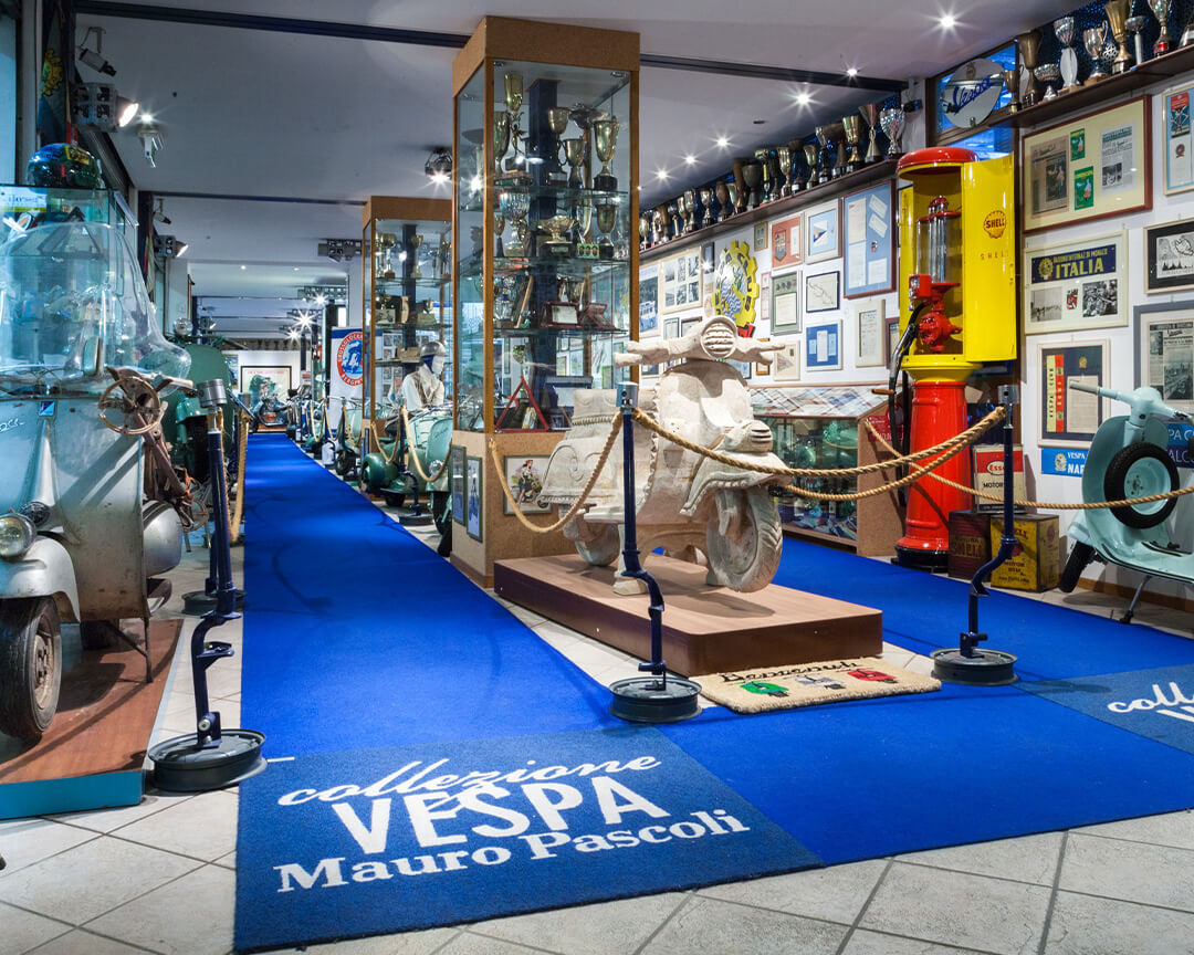 view of wasp collection room with carpets, paintings and models