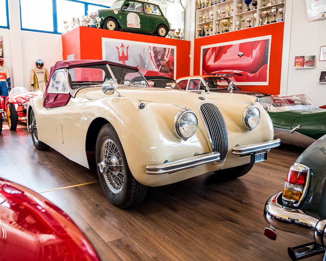 Cream-colored, burgundy-roofed Jaguar XK120 inside the Gruppo Promotor showroom, nestled among other collector cars.