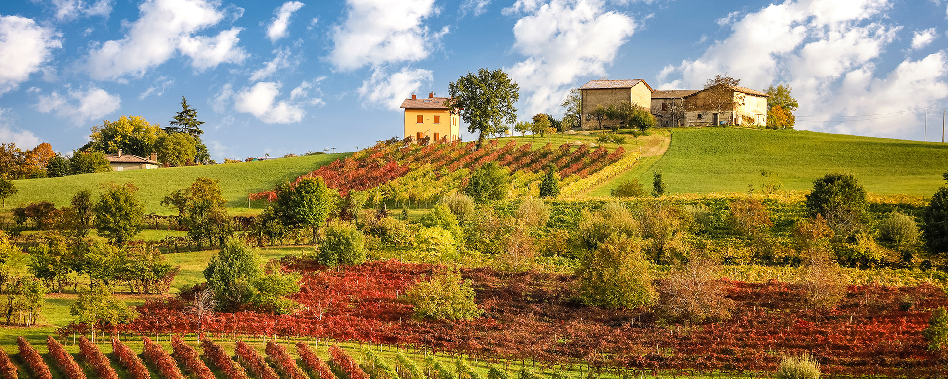 La bottaia delle acetaie di Balsamico