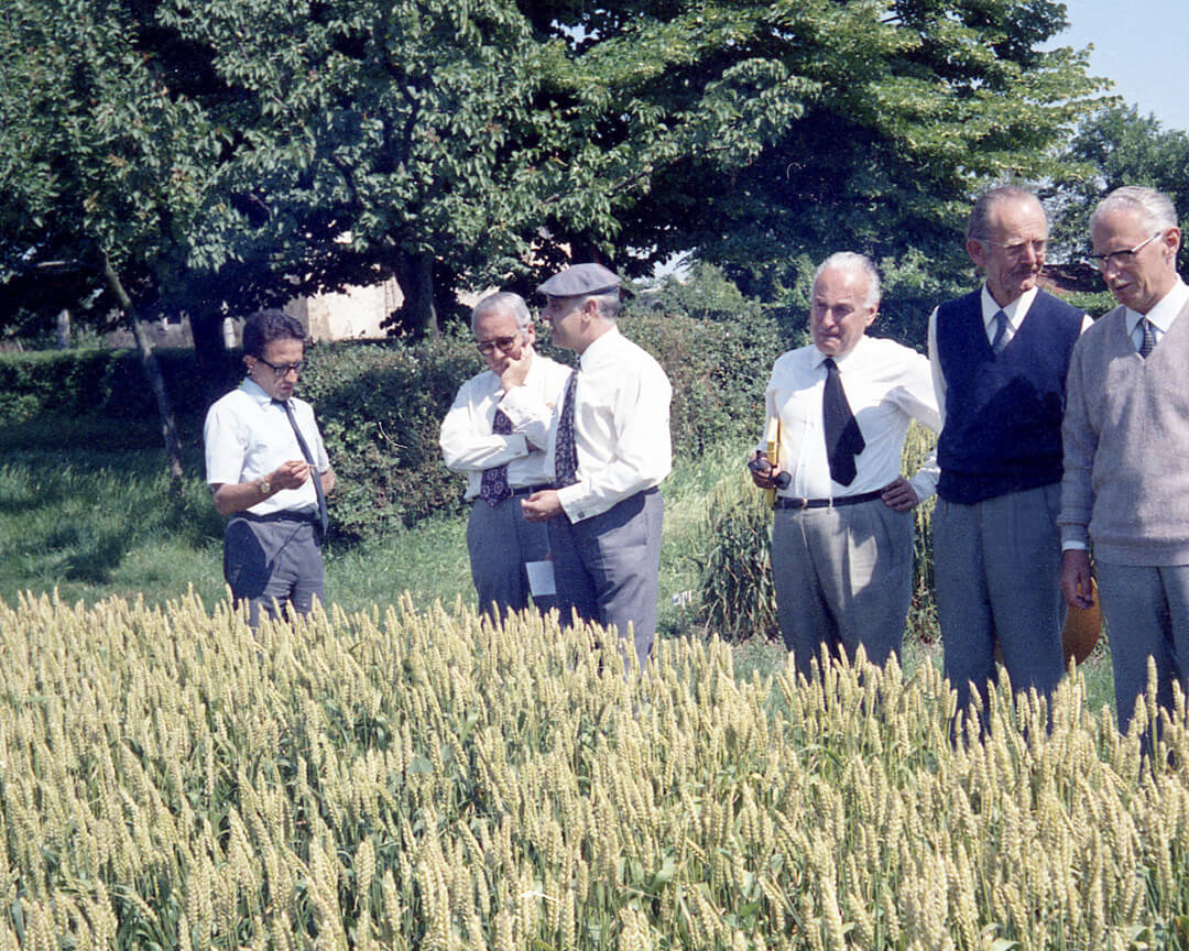 Claudio Costa and other Emilian gentlemen who are searching the field that will become the racetrack of Imola